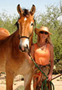 photo of Karen Pomroy with horse